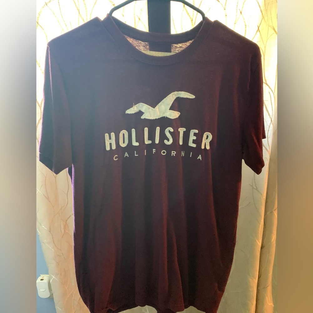 Men’s Medium Hollister T-Shirt